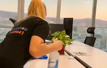 cleaning services